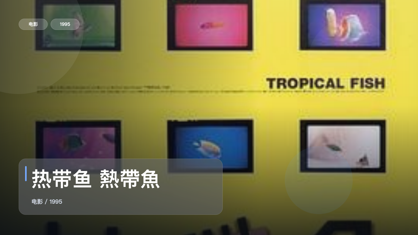 后劲太大了！《热带鱼 熱帶魚》 1995 未删减 限时转存