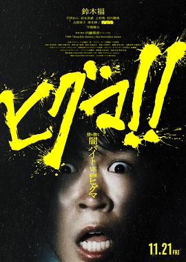 《棕熊！！》百度云网盘
