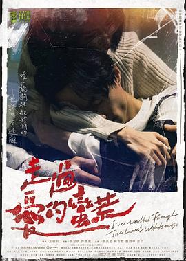 《走过爱的荒蛮》百度云