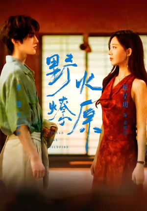 先保存再慢慢看 影视资源:《野火燎原 72集 张翅&侯呈玥》 2026 夸克网盘