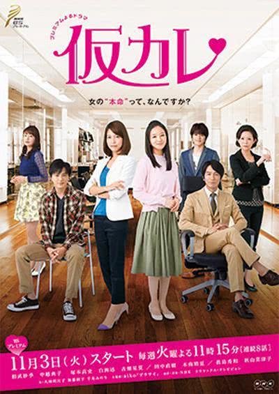 《临时男友》百度云网盘夸克下载.阿里云盘.中字.(2015)