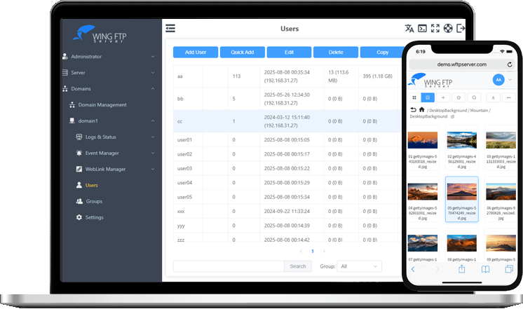 Wing FTP Server(FTP服务器) v8.2.3 企业版