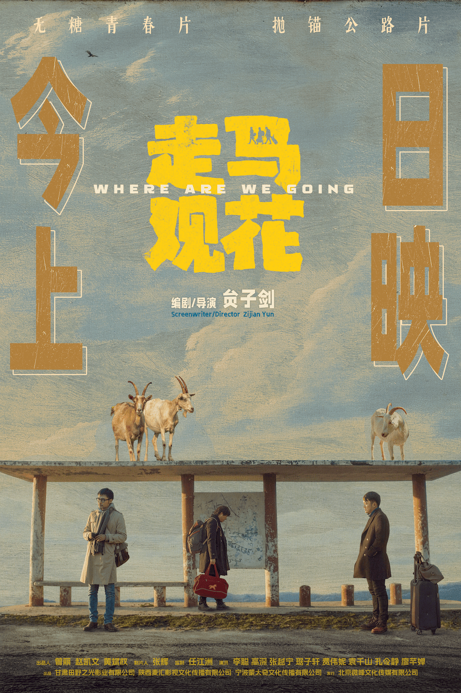 【治愈系必看】《走马观花》 2026 夸克网盘资源 高清