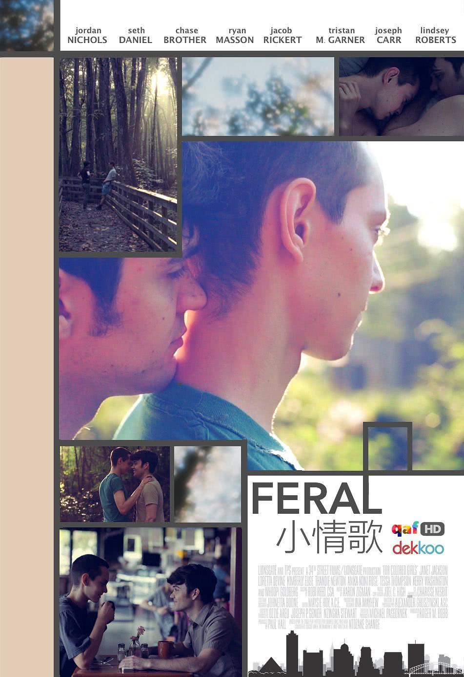 【结局太扎心】《小情歌》 2016 夸克网盘资源 高清全集